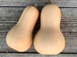 Butternut