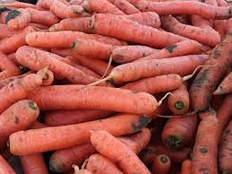 Carottes - Au Panier Gourmand